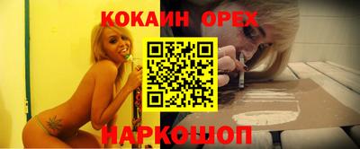 амф Камышлов