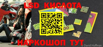 амф Камышлов