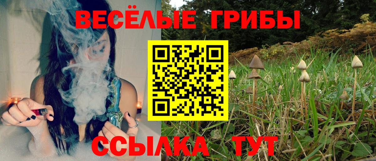 Красный Сулин  Галлюциногенные грибы прущие грибы  Вход с VPN 