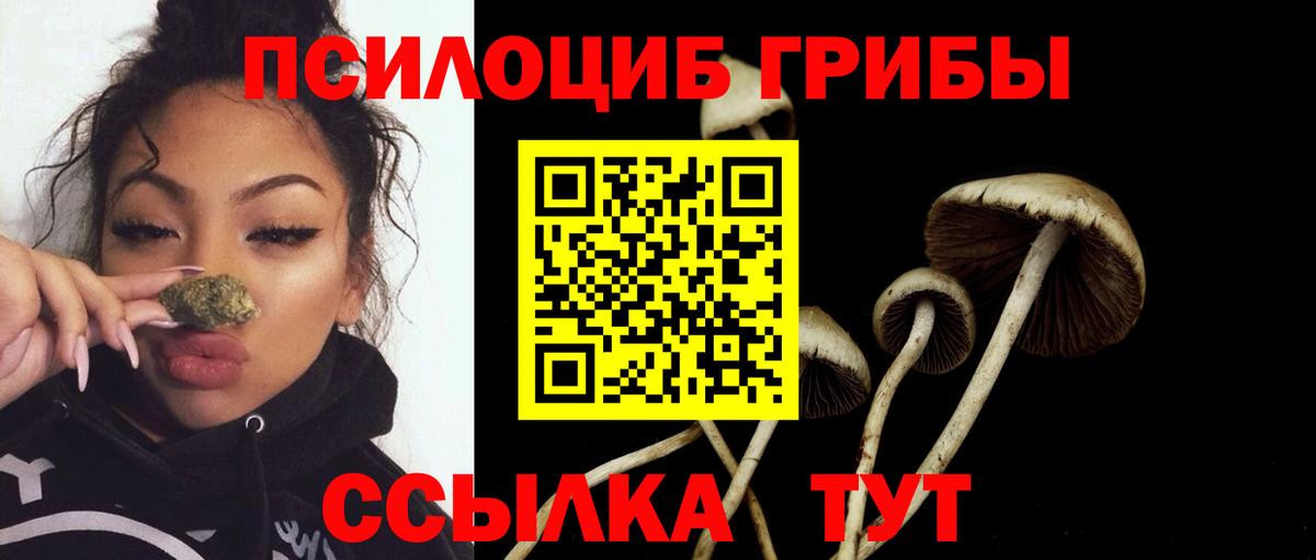 Галлюциногенные грибы Psilocybine cubensis Красный Сулин